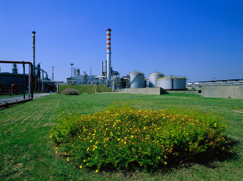 eni biorefinery diesel