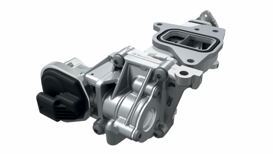 Borgwarner EGR module