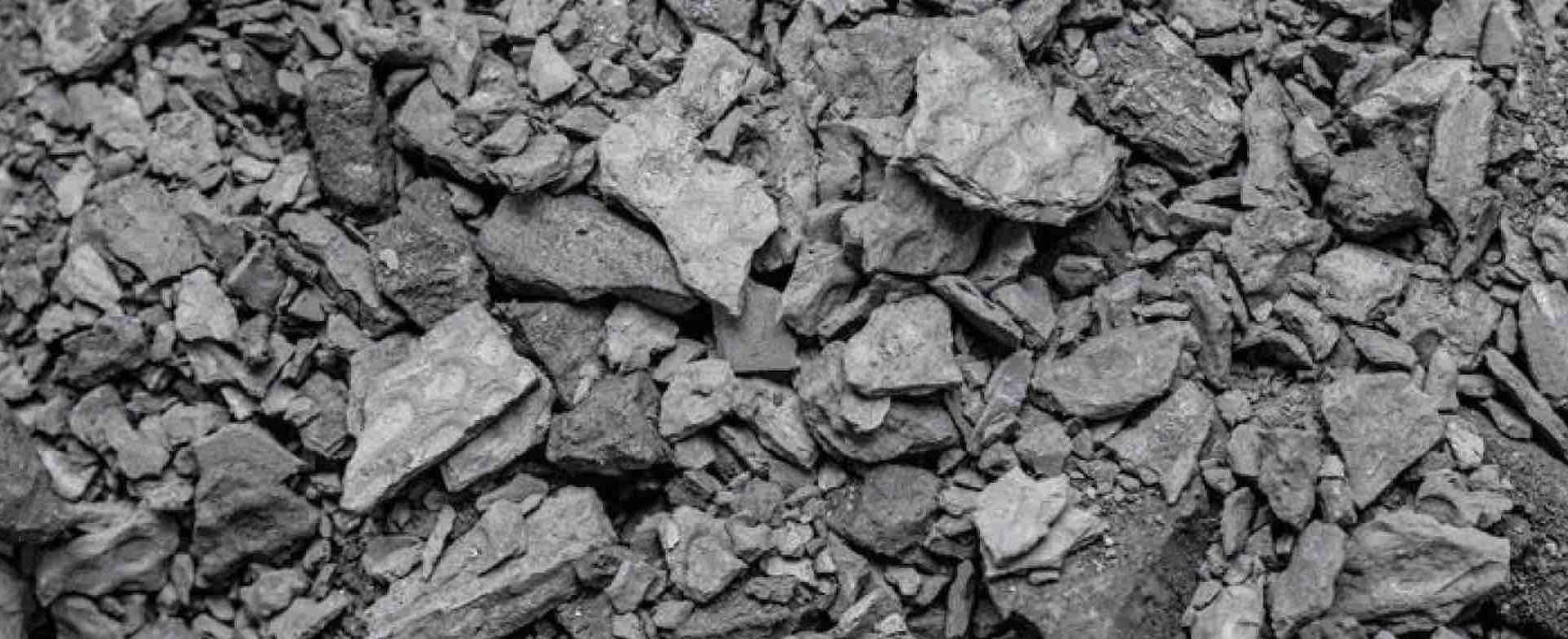 vianode fortum
