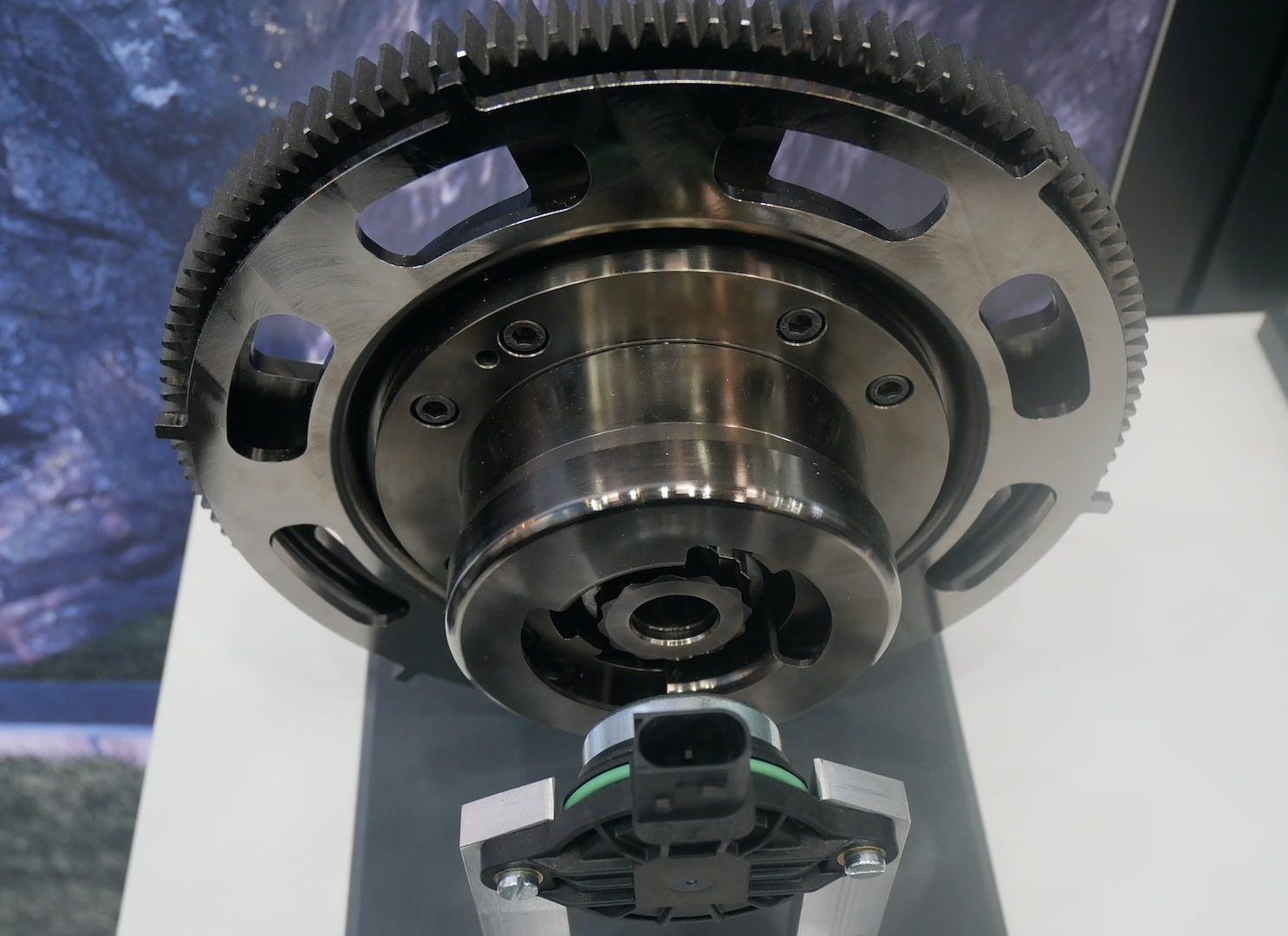 borgwarner cam